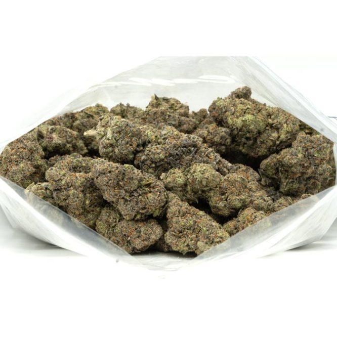 Purple-Tangie-Marijuana-Buds