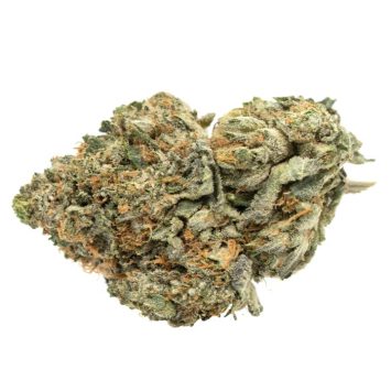 Godzilla-Glue Strain