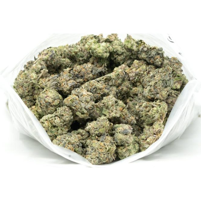 Goudaberry-Marijuana-Buds