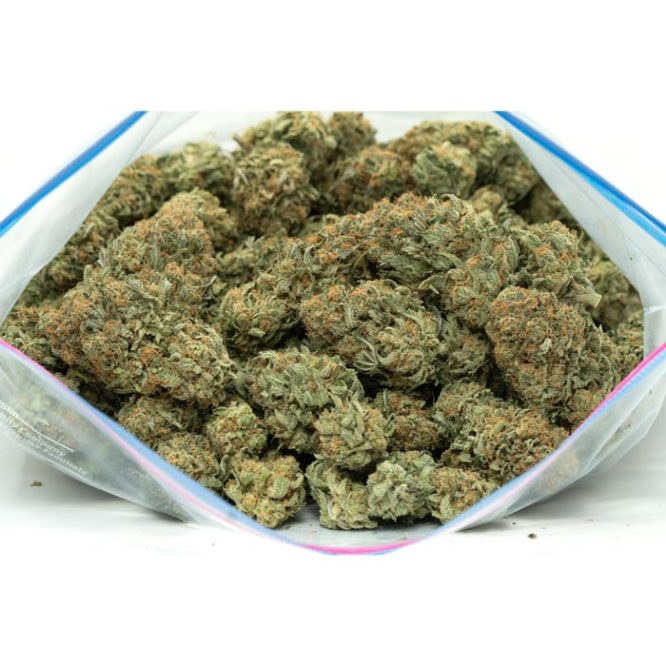 Grapefruit-marijuana-buds