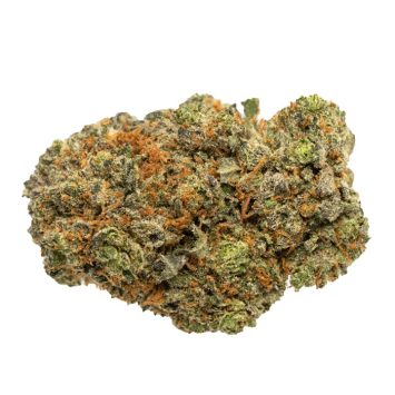 High Octane Strain