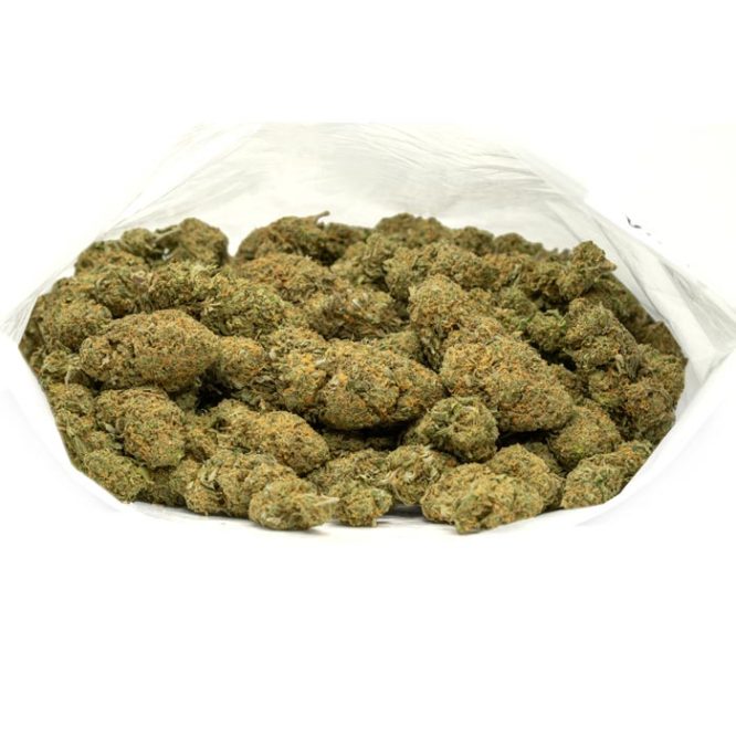 Maui-Wowie-Marijuana-Buds