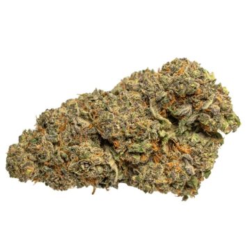 Purple-Widow-Strain