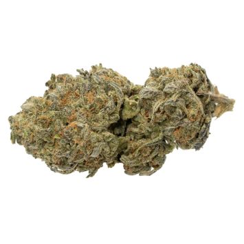 Aloha Berry Strain