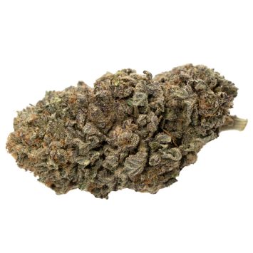 Blueberry-Haze