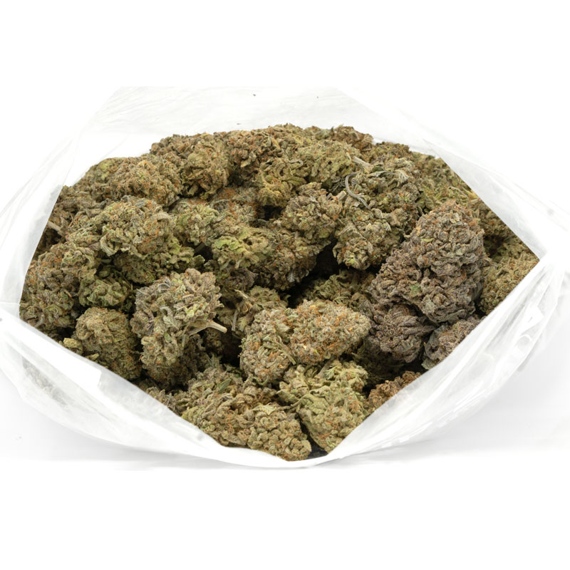 Blueberry-Haze-Marijuana-Buds