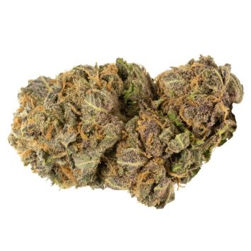 Fruity-Pebbles Strain