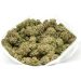 Gorilla-Glue-Marijuana-Buds