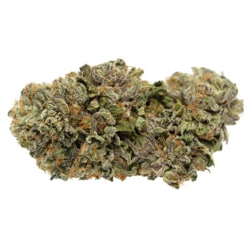 Juicy-Fruit-Strain