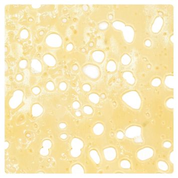 White-Rhino-Shatter