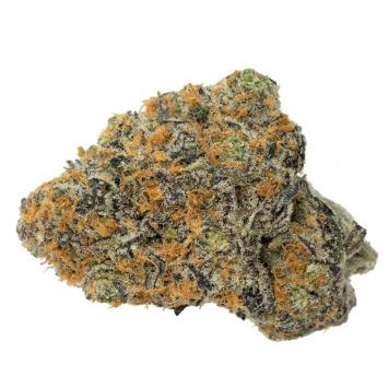 Cereal-Milk-Strain