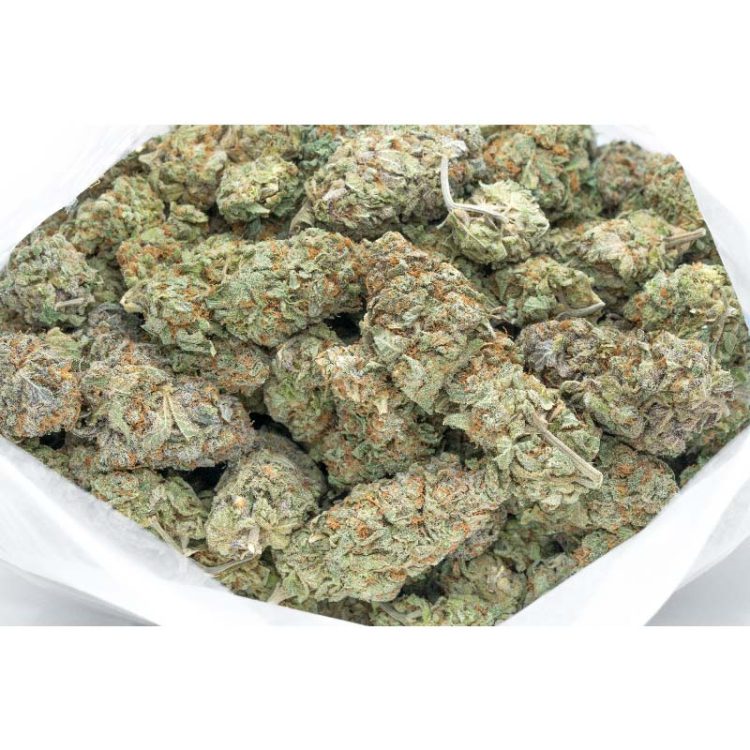 Dutch Treat Strain by WeedDeals