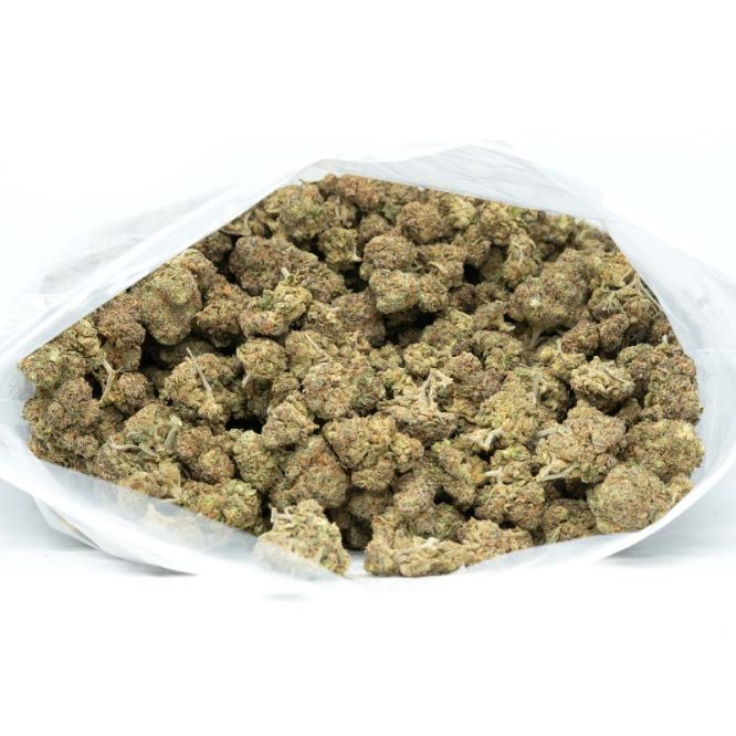 Breath-Mints-Marijuana-Buds
