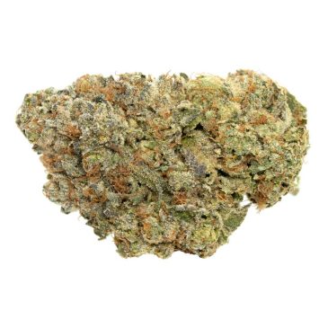 GG4