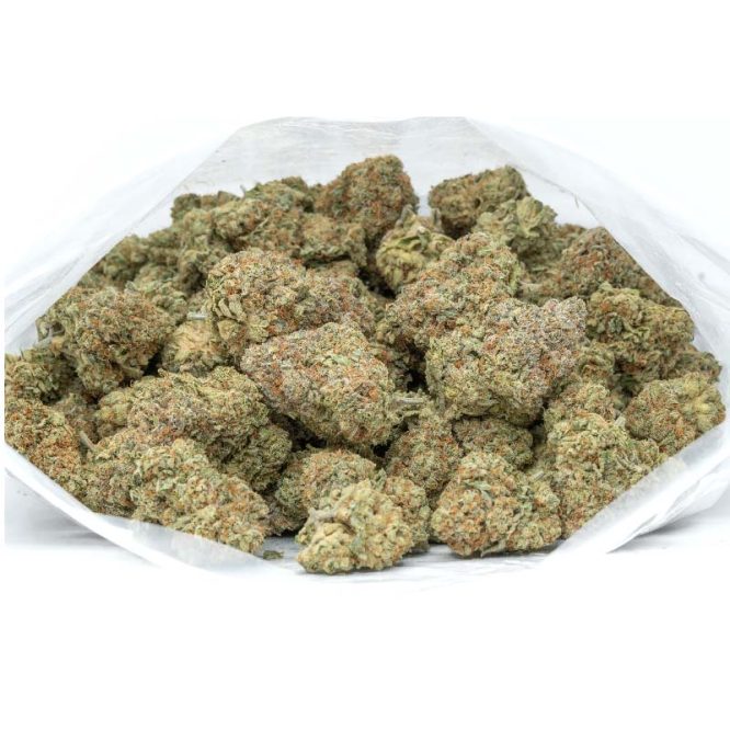GG4-Marijuana-Buds