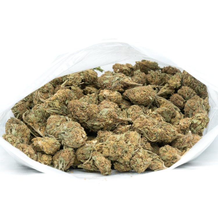 Papaya Strain by Weed Deals