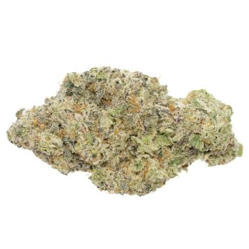 Zack's-Cake-Strain