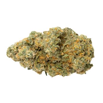 Biscotti strain