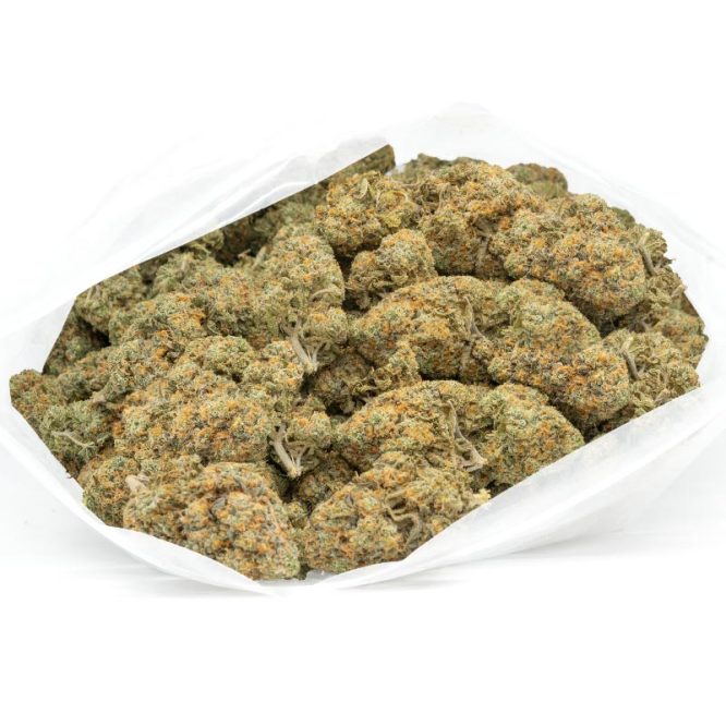 Biscotti Strain by Weed Deals