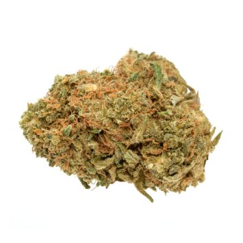 Critical-Haze