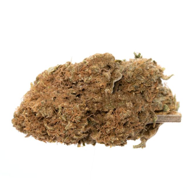 Panama-Red-Strain