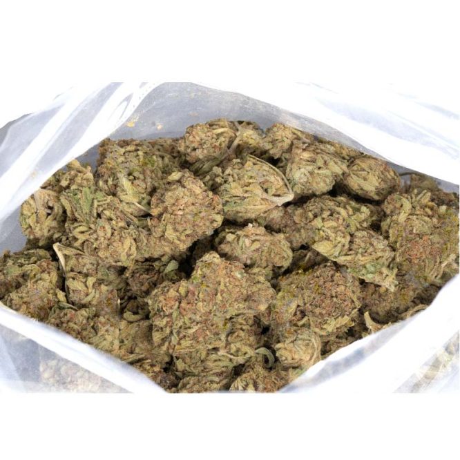 BC-Bud-Marijuana-Weed-Strain