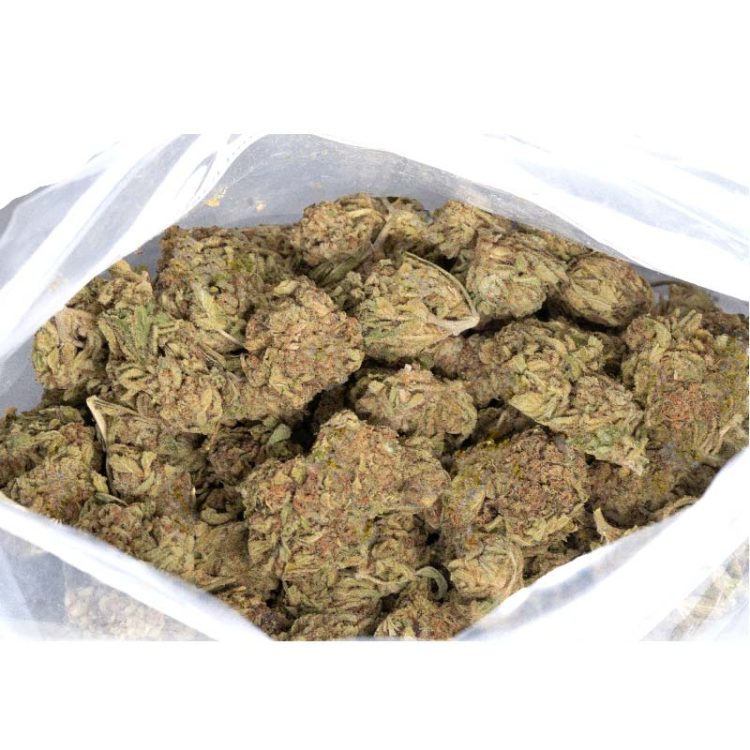 BC Bud Strain By Weed Deals Buy 499 Lb Of BC Bud bc-bud-strain-by-weed-deals-buy-499-lb-of-bc-bud