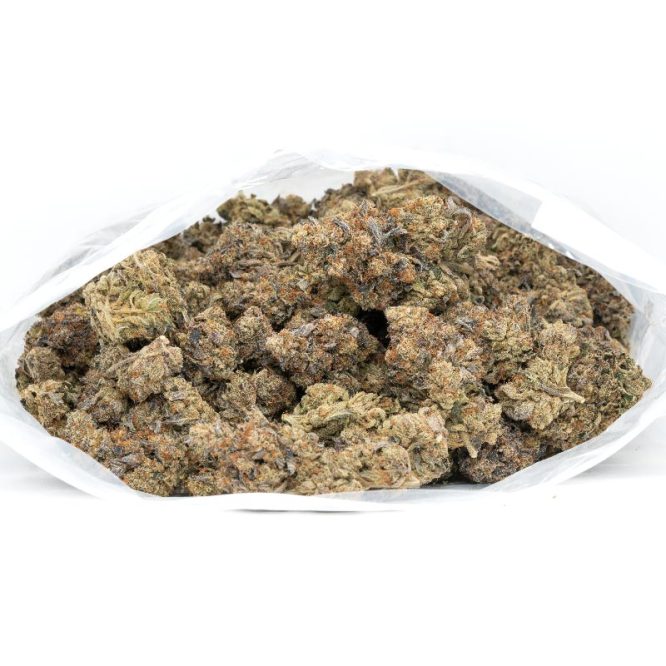 Black-Tuna-Marijuana-Buds