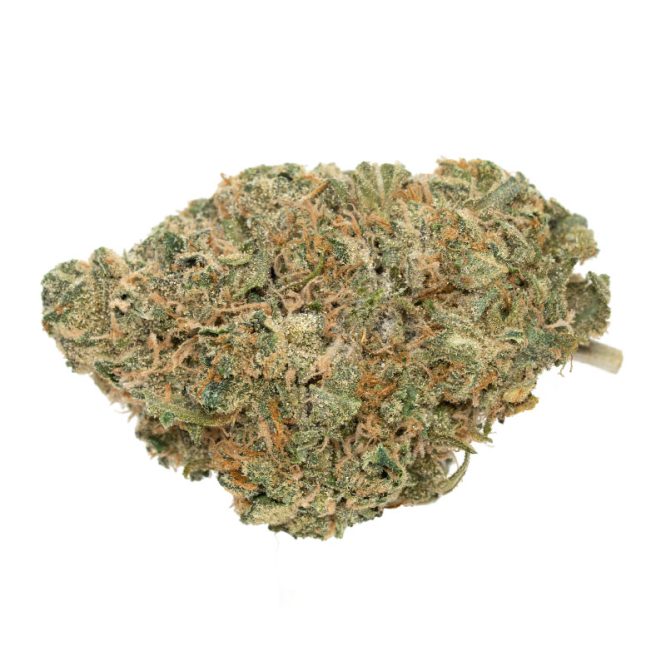 Gushers-Strain