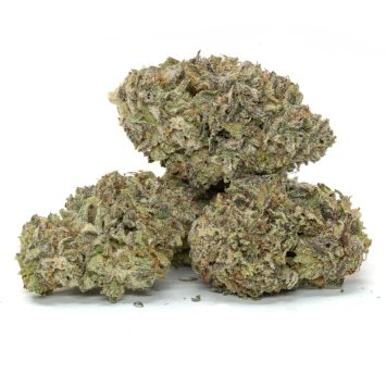 Purple-Goo-Strain