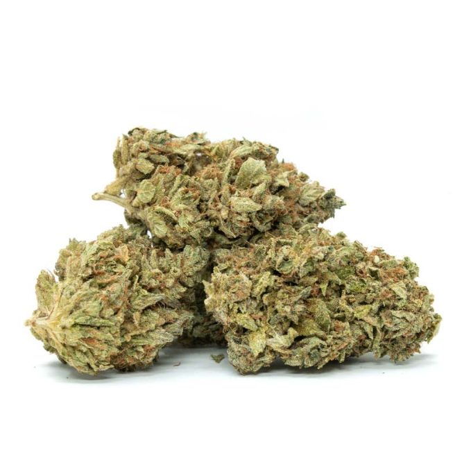3 marijuana buds