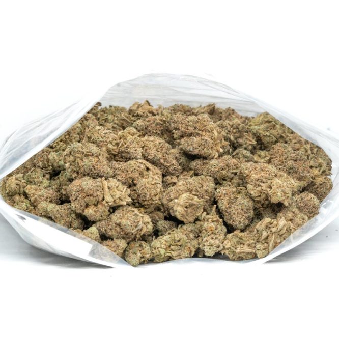 Stardawg-Marijuana-Weed