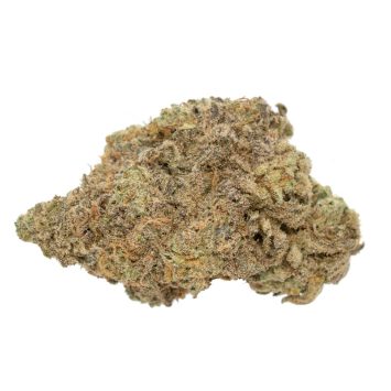 Stardawg strain