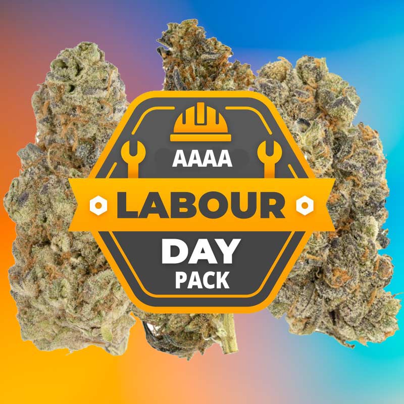 aaaa-labour-day-pack