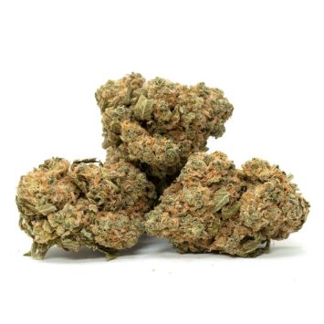 g13-Haze