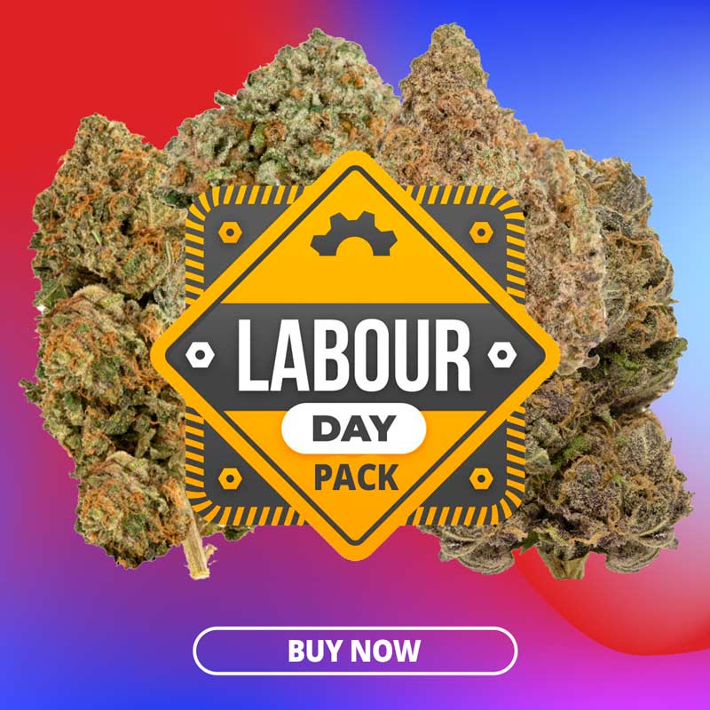 labour-day-pack