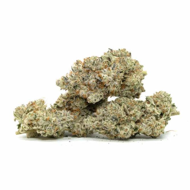Powdered Donuts Strain by Weed Deals