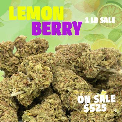 Lemon-Berry-1-pound-sale-800x800