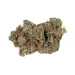 Skittlz Strain