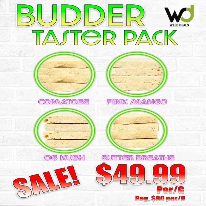 budder-taster-pack-800x800