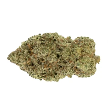 dairy-queen strain