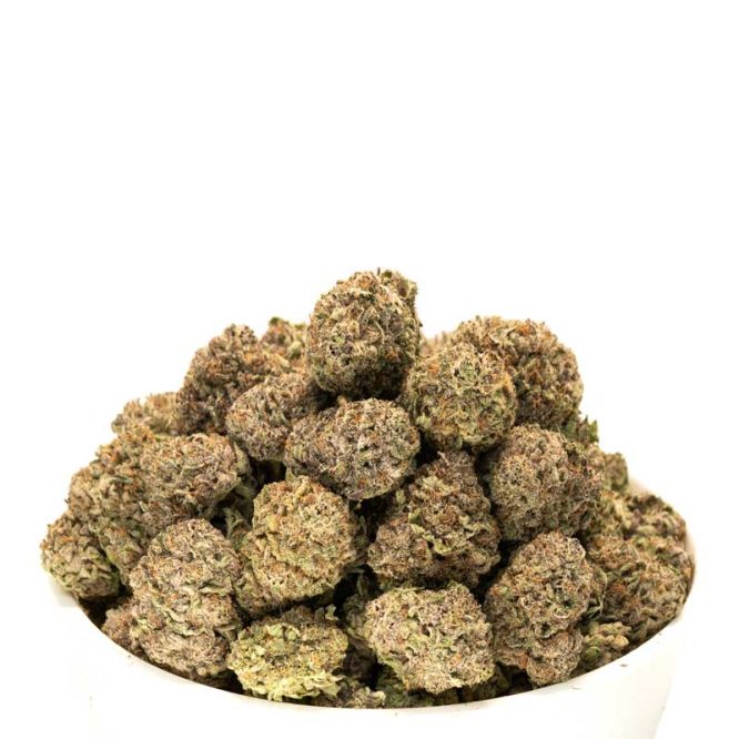 Fruit Loops Strain by Weed Deals