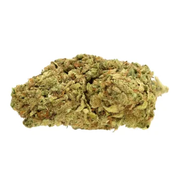Jack-Haze sTRAIN