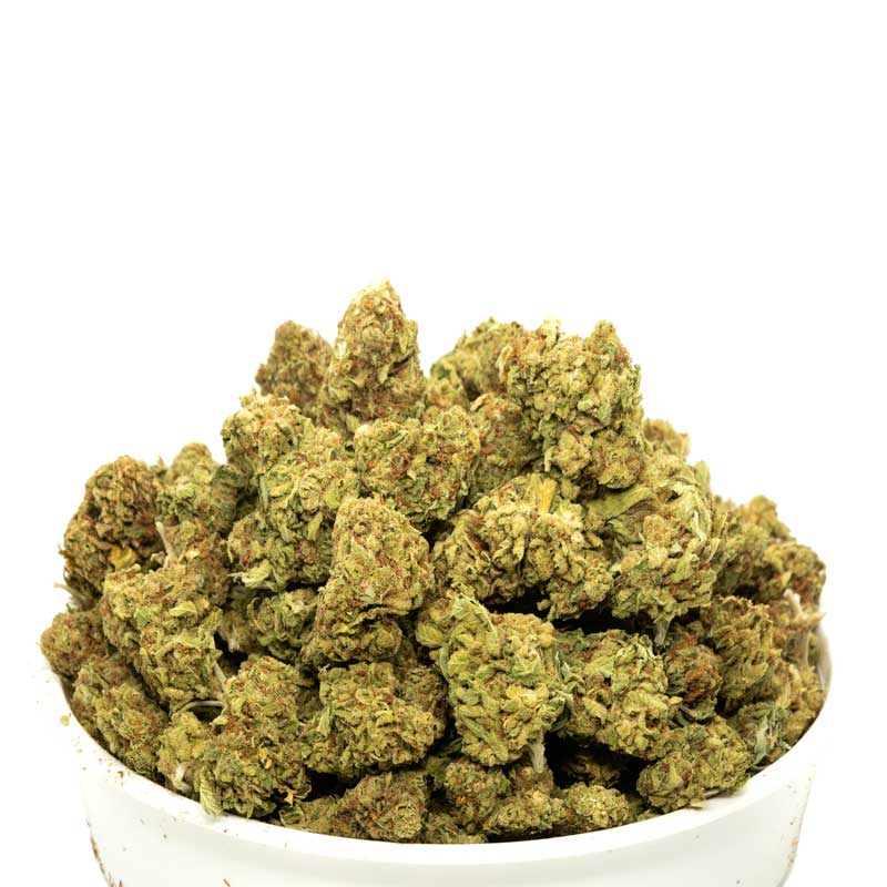 Jack Haze Marijuana Buds
