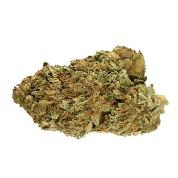 MONKEY GLUE STRAIN