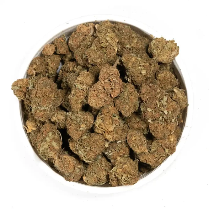 Nuken-Strain-Bulk