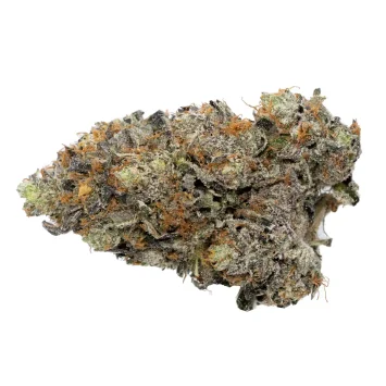 Pink-Diablo Strain