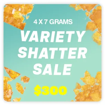 variety-shatter-sale