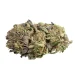 Purple-Death-Bubba