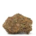 Alien-Bubba